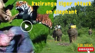 kaziranga national Park ￼tiger attack on elephant  subscribe like and share [upl. by Rehpotsrik577]