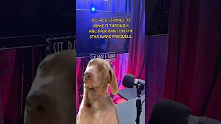 Buford The Dog Listening To Another Rant funny shorts dog [upl. by Manheim]