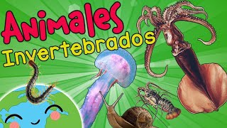 Filum Nemátodo Características🕷️🐍 l Animales Invertebrados l Ciencias Naturales [upl. by Benedikta682]