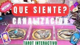 ❤️QUE SIENTE QUE PIENSA QUE HARA ❤️Tarot Interactivo 🌻 tarot tarotreading [upl. by Peery4]