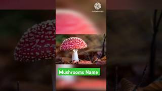 Mushrooms Name  Pre School Curriculum  Nursery Syllabus shorts [upl. by Arimihc]