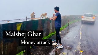 Malshej Ghat In Monsoon  Bike Ride  Must Visit place in Maharashtra [upl. by Kcirderf]