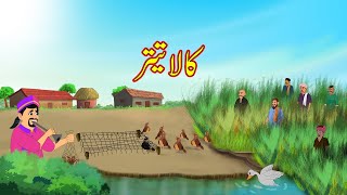 کالا تیتر  Black Teetar  Urdu Story  Moral Stories  kahaniyan urdu [upl. by Dnamron666]