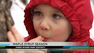 How Sweet It Is Making Maple Syrup in Local Parks [upl. by Tiga380]