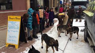 Canadian Challenge sled dog race [upl. by Maribelle]