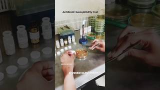 Antibiotic Susceptibility Test  yt ytviral ytshorts ytshortsindia microbiology lab phd ig [upl. by Rramed858]