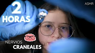 2 HORAS de examenes de NERVIOS CRANEALES  ASMR en ESPAÑOL  ASMR MEDICO [upl. by Notgnirrab]