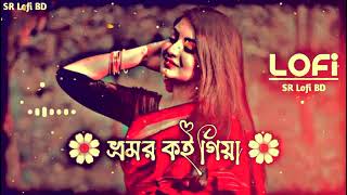 ভ্রমর কইও গিয়া 🥀 Bhromor Koio Giya SlowedReverb Lofi Song [upl. by Schreib]