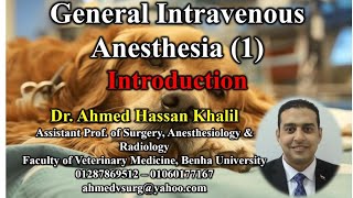 Introduction to general anaesthesia in veterinary field مقدمة عن التخدير العام في الحقل البيطري [upl. by Ofloda490]