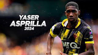 Yaser Asprilla  Full Season Show  2024ᴴᴰ [upl. by Michi]