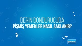 Derin Dondurucuda Pişmiş Yemekler Nasıl Saklanır [upl. by Ress228]