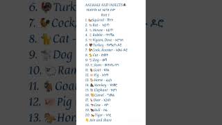 learning english part122english learnamharic አማርኛ amharic amharicalphabet amharic learnenglish [upl. by Inahpit]