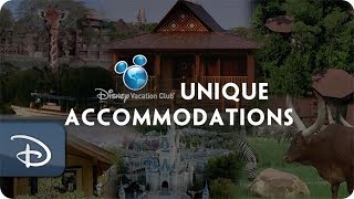 5 Unique Disney Vacation Club Accommodation Options [upl. by Elicec688]