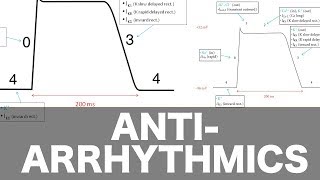 Antiarrhythmic Pharmacology [upl. by Amerak58]