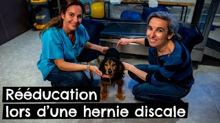 Rééducation lors d’une hernie discale  🐶 [upl. by Dinin356]