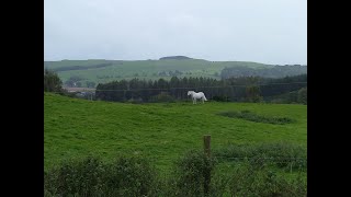 Regenerative Farming Network  Nature of Scotland Awards 2023 [upl. by Inoy]