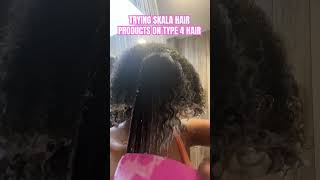 TRYING SKALA HAIR PRODUCTS ON TYPE 4 HAIR curlyhair skalabrasil washandgo type4hair [upl. by Airad931]