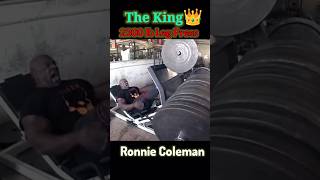 World Record 🔥🔥 2300Lbs Leg Press RonnieColeman8  World Shocked 😱 bodybuilding ronniecoleman [upl. by Conover]