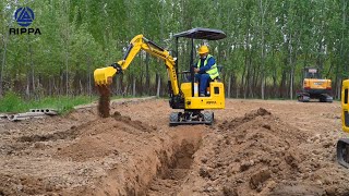 R319 mini excavator operation display [upl. by Llezom]