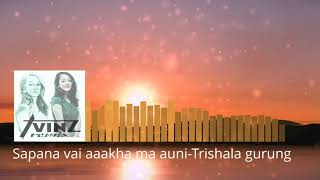 Sapana vai aakha ma auni By Trishala Gurung Remix [upl. by Freya]