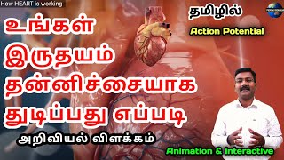 How heart is working in Tamil  science behind heart cells [upl. by Gloriana]