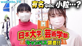 5美大の1つ！でも小粒？日本大学 芸術学部キャンパス調査！【wakatte TV】792 [upl. by Ivett369]