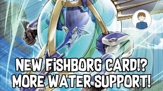 NEW FISHBORG MONSTER MORE WATER SUPPORT YuGiOh [upl. by Phillida]