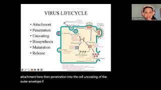 NPLEX I Review Virology [upl. by Neyuh]