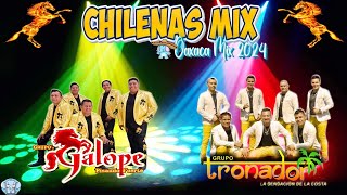 Grupo Tronador ft Grupo Galope  Mix Chilena de Oaxaca [upl. by Gwenore138]