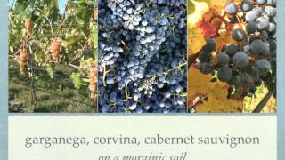 Le Vigne di San Pietro 2012 newmov [upl. by Moran442]