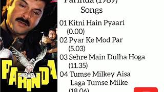 Parinda 1989 All Songs Jukebox Jackie Shroff Anil Kapoor Nana Patekar Madhuri Dixit Anupam [upl. by Loomis]