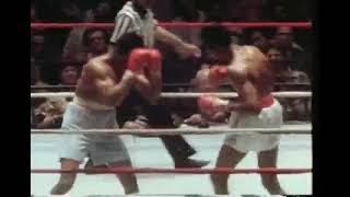 Thomas Hearns vs Alfonso Hayman Full Fight [upl. by Waylen805]