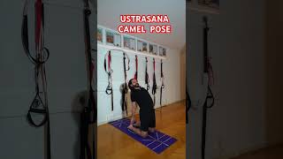 CAMEL POSE USTRASANA [upl. by Linneman]