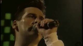 Spandau Ballet  Gold Live [upl. by Arni]