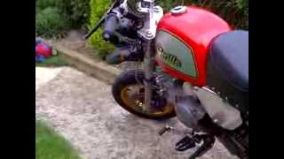 Jincheng JC50 Custom Monkeybike Monkey Bike UK YX150cc YX 150 [upl. by Imak]