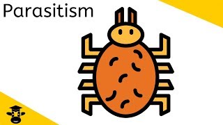 Parasitism Examples [upl. by Slifka]