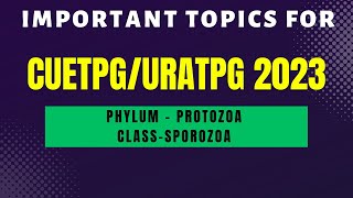 Class Sporozoa Phylum  Protozoa  UratpgCUETPG 2023 zoology  Mudgalbiology [upl. by Rozanne941]