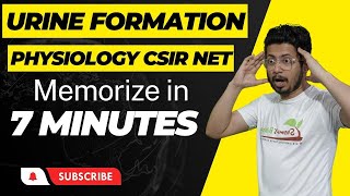 Process of urine formation physiology  tricks to learn urine formation mechanism [upl. by Beverley]