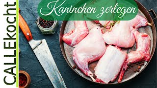 Ganzes Kaninchen zerlegen Schritt für Schritt Anleitung How to [upl. by Bathsheb]