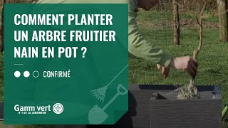 TUTO Comment planter un arbre fruitier nain en pot   Jardinerie Gamm vert [upl. by Genevieve]