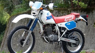 【XLR250R MD22】走行距離20695KM [upl. by Kreda816]