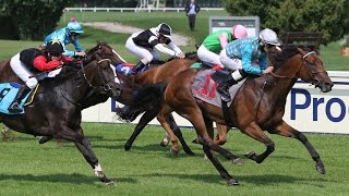 München Dallmayr Prodomo Trophy Listenrennen  Sieger Sir Oscar [upl. by Aihc]