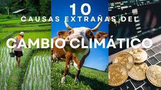 10 CAUSAS EXTRAÑAS DEL CAMBIO CLIMÁTICO  ZaloZone [upl. by Herson703]