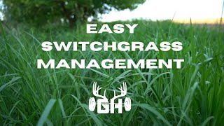 Whitetail Strategy  Switchgrass Management  GUNNAR HANSON [upl. by Dlonyar772]