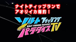 ナイトティップランでアオリイカ爆釣！（ソルパラTV・第54回2021年10月7日放送） [upl. by Anaejer]