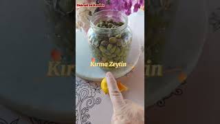 Çekişte Çıtlatma Zeytin Tarifi shortvideo shortsvideo shorts short çekişte yeşilzeytin zeytin [upl. by Ahsain]