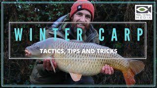 CARP FISHING  Winter Tactics Tips and Tricks [upl. by Florance]