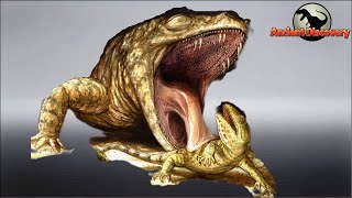 Do you know why frogs blink when they eat  Evolution Story  Temnospondyli [upl. by Gemini]