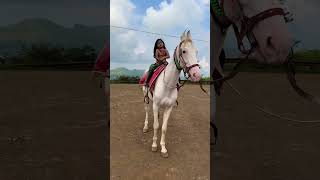 Dhruvi Horse 🐎 Riding  horse horses ghoda horseriding horselover ytvideo shortsfeed dhruhi [upl. by Lambert325]