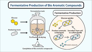 花王 コーポレート Production of Bioaromatic Compounds by Fermentation Production [upl. by Eetnod]